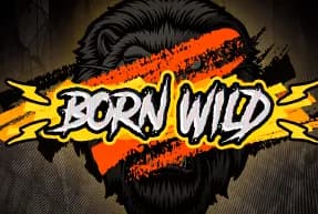 Born Wild 96%