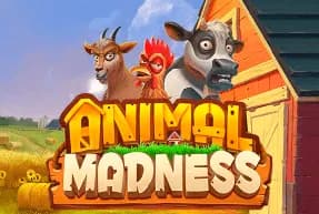 Animal Madness